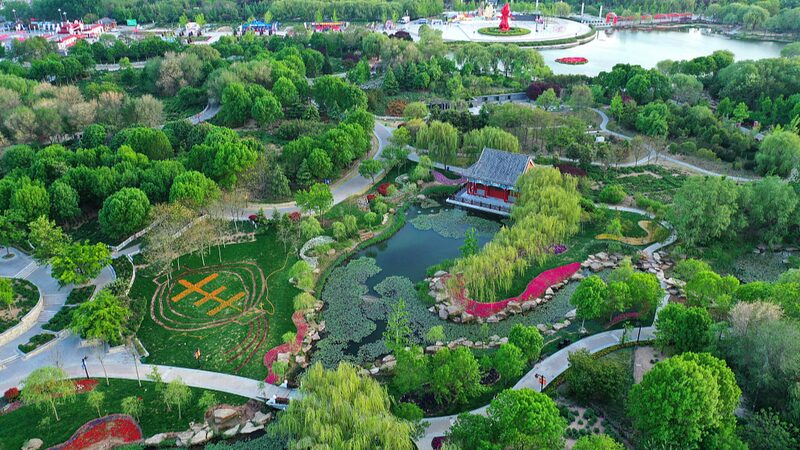 Heze City Celebrates the 33rd International Peony Culture and Tourism Festival video poster