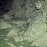 Hidden_Wonders__Infrared_Cameras_Capture_Snow_Leopards_in_Inner_Mongolia video poster