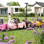 Homestay_Managers_Propel_Rural_Tourism_in_China