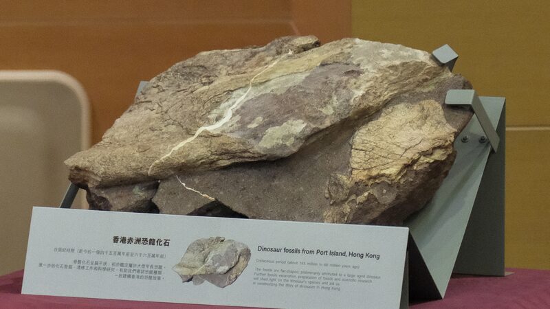 Hong_Kong_Discovers_First_Ever_Dinosaur_Fossils_on_Port_Island - Khabar Asia Hong_Kong_Discovers_First_Ever_Dinosaur_Fossils_on_Port_Island