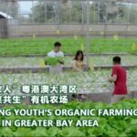 Hong Kong Youths Cultivate Aquaponics Success in Jiangmen City video poster
