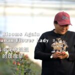 Hope Blooms Again: Li Li's Flower Business Thrives at Dounan Flower Market video poster