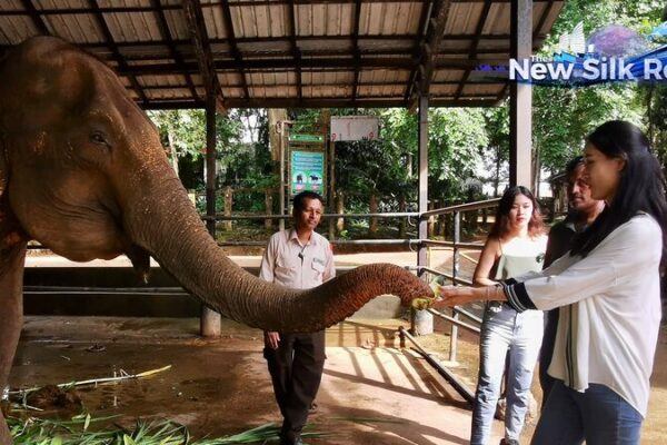 Hope for Sri Lanka’s Elephants: Inside Pinnawala’s Sanctuary for the Orphaned and Injured Hope for Sri Lanka's Elephants: Inside Pinnawala's Sanctuary for the Orphaned and Injured video poster