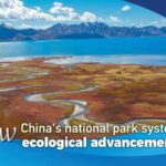 How China's National Park System Drives Ecological Advancement