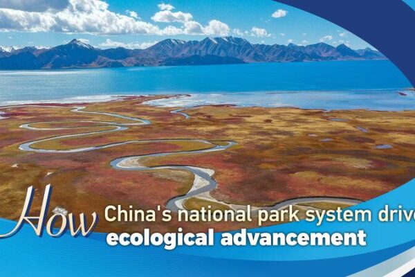 How China’s National Park System Drives Ecological Advancement How China's National Park System Drives Ecological Advancement