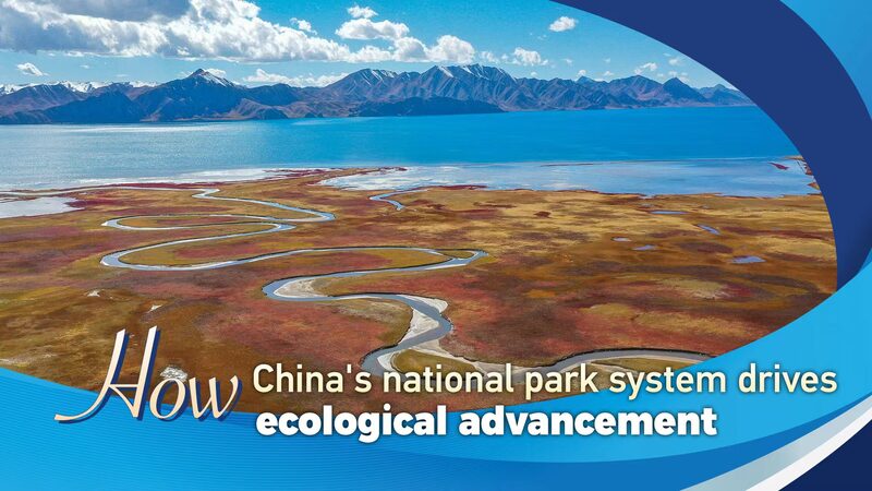 How_Chinas_National_Park_System_Drives_Ecological_Advancement - Khabar Asia How China's National Park System Drives Ecological Advancement