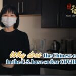 How Early Precautions Helped Chinese Communities in the U.S. Lower COVID-19 Cases video poster