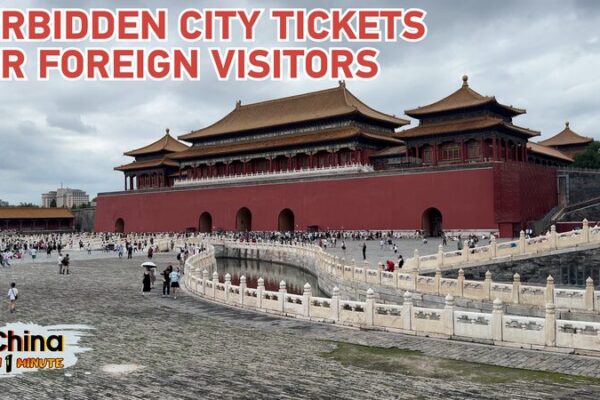 How_Foreign_Visitors_Can_Access_the_Forbidden_City_Without_Online_Tickets video poster