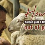 How Lamb and Potatoes Lifted Dongxiang County Out of Poverty video poster