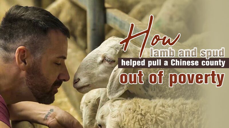 How Lamb and Potatoes Lifted Dongxiang County Out of Poverty video poster