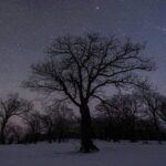 How_to_Catch_the_Quadrantids__First_Meteor_Shower_of_2025_Lights_Up_the_Sky