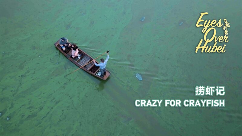 Hubeis_Crayfish_Boom_Feeding_Chinas_Craving_for_Crustaceans_poster - Khabar Asia Hubei's Crayfish Boom: Feeding China's Craving for Crustaceans video poster