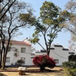 Huizhou_Architecture_in_Africa__A_Symbol_of_China_Africa_Friendship