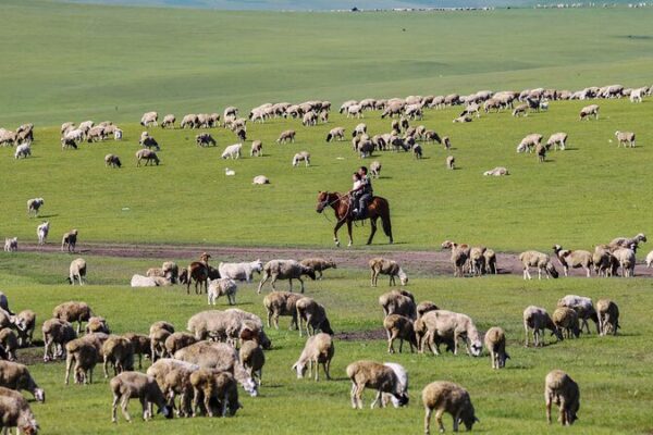 Hulun Buir Grassland: A Verdant Paradise in Inner Mongolia Hulun_Buir_Grassland__A_Verdant_Paradise_in_Inner_Mongolia