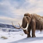 Human_Hunting_Drove_Extinction_of_Megafauna__New_Study_Finds