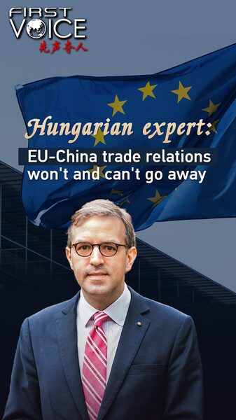 Hungarian Expert Asserts EU-China Trade Ties Are Indispensable video poster