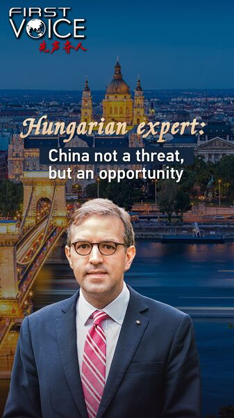 Hungarian Expert Sees China's Global Initiatives as Path to Shared Development