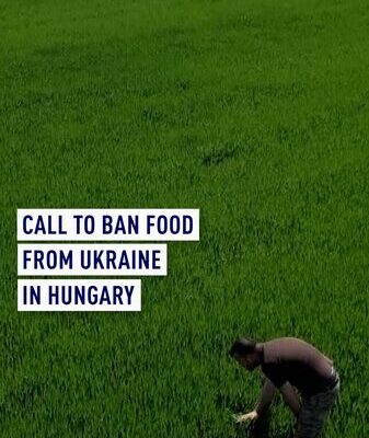 Hungarian Farmers Protest Ukrainian Agricultural Imports Amid Financial Strain Hungarian Farmers Protest Ukrainian Agricultural Imports Amid Financial Strain video poster