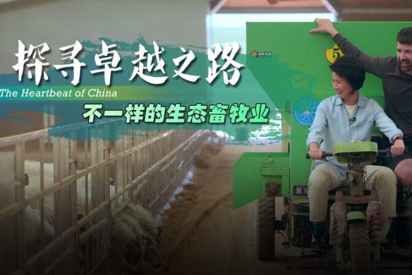 Hydro-Solar Power and Eco-Farming Transform Gonghe County in Qinghai Province Hydro-Solar Power and Eco-Farming Transform Gonghe County in Qinghai Province video poster