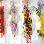 Ice-Encased Flowers Dazzle Visitors in Changchun's Winter Display