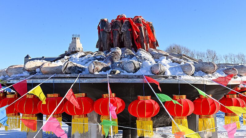 Ice_Fishing_Season_Kicks_Off_in_NE_China_s_Heilongjiang_with_Massive_First_Catch_poster - Khabar Asia Ice_Fishing_Season_Kicks_Off_in_NE_China_s_Heilongjiang_with_Massive_First_Catch video poster