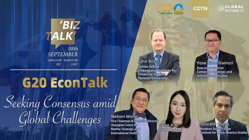 India Gears Up for G20 Summit: Bridging Divides Amid Global Challenges video poster