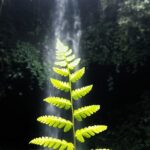 Indonesia_Finalizes_Carbon_Capture_Regulation_Awaiting_Presidential_Approval