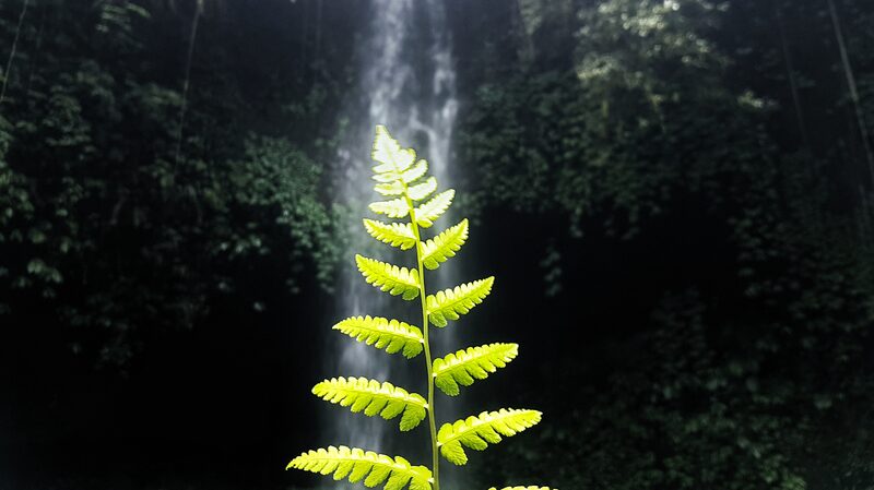 Indonesia_Finalizes_Carbon_Capture_Regulation_Awaiting_Presidential_Approval