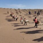 Inner Mongolia Advances Desertification Control with Renewable Energy Integration video poster
