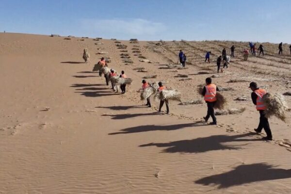 Inner Mongolia Advances Desertification Control with Renewable Energy Integration Inner Mongolia Advances Desertification Control with Renewable Energy Integration video poster