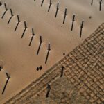 Inner Mongolia Intensifies Sand Control with Massive Tree and Grass Planting