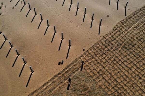 Inner Mongolia Intensifies Sand Control with Massive Tree and Grass Planting Inner Mongolia Intensifies Sand Control with Massive Tree and Grass Planting