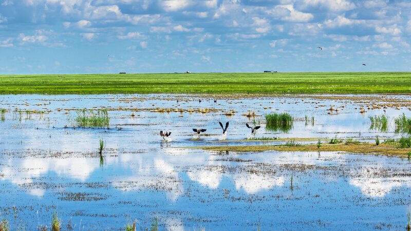 Inner_Mongolia_Leads_China_s_Carbon_Sink_Efforts_with_Forests__Grasslands__and_Wetlands - Khabar Asia Inner_Mongolia_Leads_China_s_Carbon_Sink_Efforts_with_Forests__Grasslands__and_Wetlands