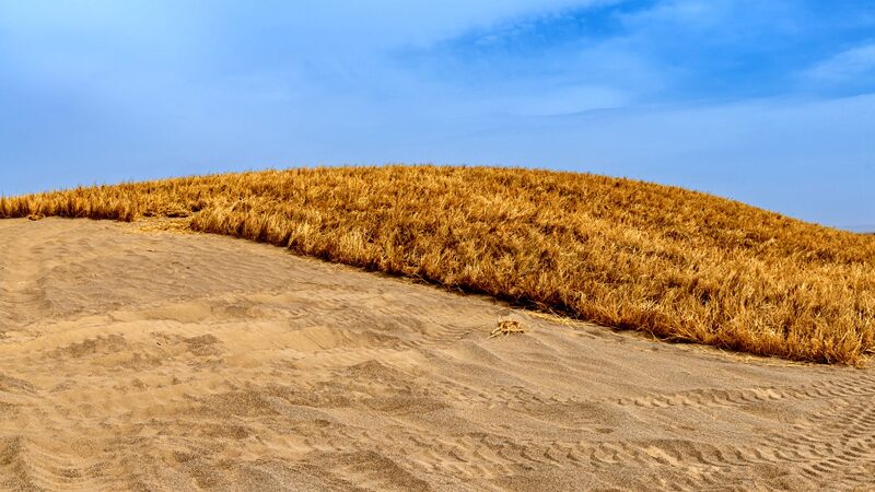 Innovative_Grass_Grids_Combat_Desertification_Along_NW_Chinas_Jinhe_Highway - Khabar Asia Innovative Grass Grids Combat Desertification Along NW China's Jinhe Highway