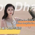 Inside the World's Largest Falcon Hospital in Abu Dhabi video poster