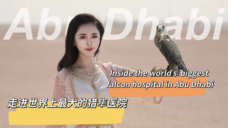Inside the World's Largest Falcon Hospital in Abu Dhabi video poster