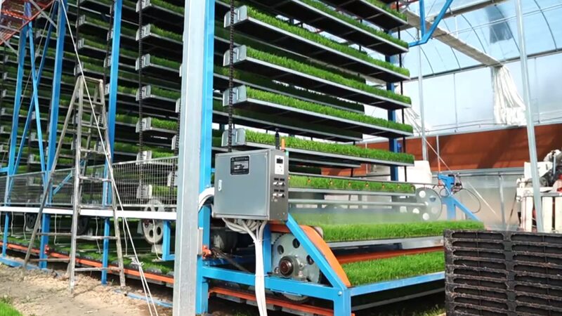 Intelligent_Seedling_Cultivation_Transforms_Spring_Farming_in_Southeast_China_poster - Khabar Asia Intelligent Seedling Cultivation Transforms Spring Farming in Southeast China video poster