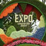 International Horticultural Exhibition 2024 Opens in Chengdu, Celebrating "Park City, Beautiful Habitat"