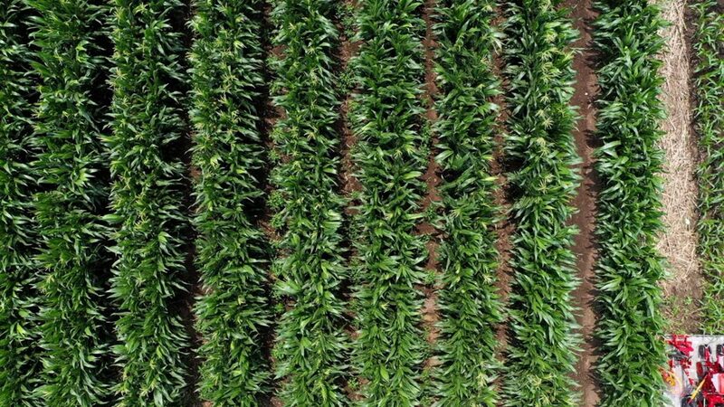 International_Scientists_Unite_to_Protect_China_s_Black_Soil