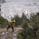 Invasive Plants Fuel Forest Fires in Bogota, Experts Warn