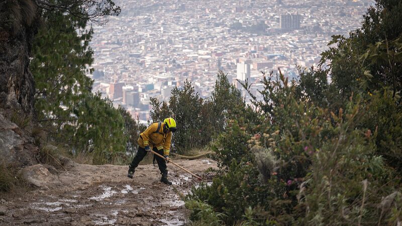 Invasive_Plants_Fuel_Forest_Fires_in_Bogota_Experts_Warn - Khabar Asia Invasive Plants Fuel Forest Fires in Bogota, Experts Warn