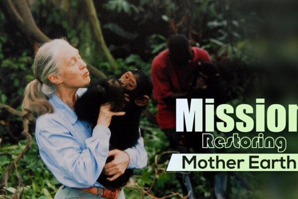 Jane Goodall at 90: Spreading a Message of Hope and Inspiring Action Worldwide Jane Goodall at 90: Spreading a Message of Hope and Inspiring Action Worldwide video poster