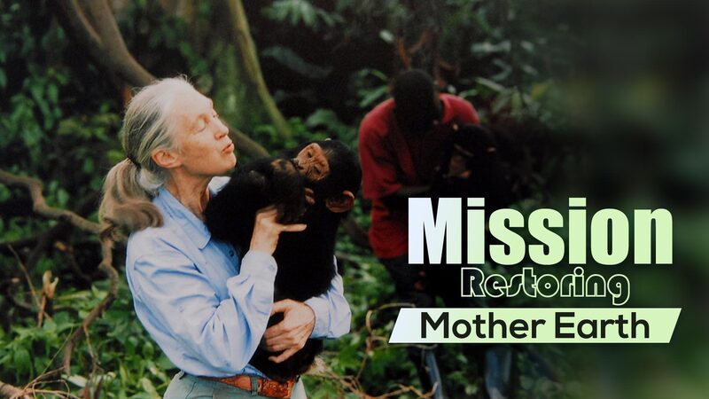 Jane_Goodall_at_90_Spreading_a_Message_of_Hope_and_Inspiring_Action_Worldwide_poster - Khabar Asia Jane Goodall at 90: Spreading a Message of Hope and Inspiring Action Worldwide video poster