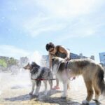 Japan_Experiences_Hottest_July_on_Record_Since_1898