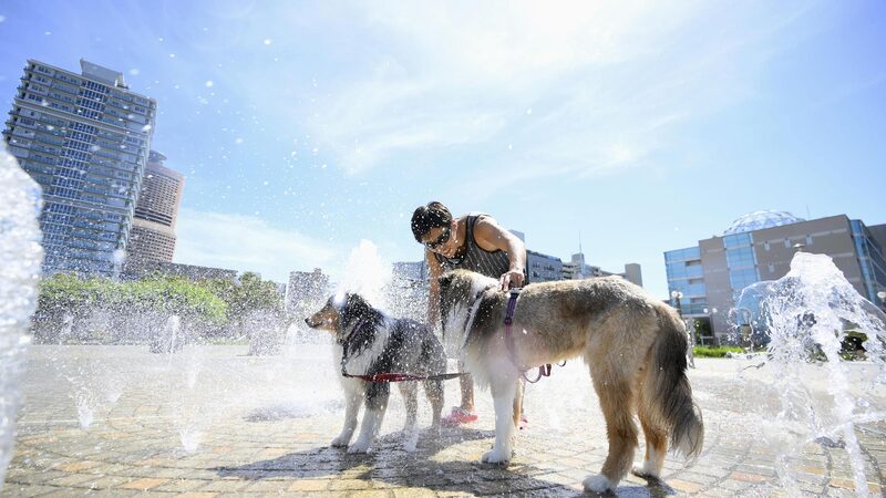 Japan_Experiences_Hottest_July_on_Record_Since_1898 - Khabar Asia Japan_Experiences_Hottest_July_on_Record_Since_1898