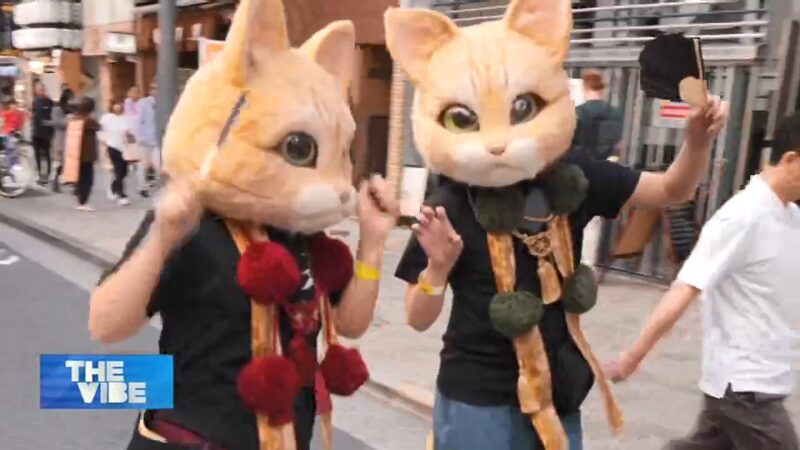 Japan_s_Kagurazaka_Bakeneko_Parade_Marks_15_Years_of_Growing_Popularity video poster