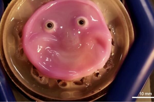 Japanese Scientists Make Robot Face ‘Smile’ with Living Skin in Breakthrough Japanese_Scientists_Make_Robot_Face__Smile__with_Living_Skin_in_Breakthrough