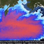 Japan's Nuclear Wastewater Discharge Sparks Global Environmental Concerns video poster