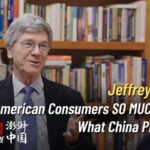 Jeffrey Sachs on China's Manufacturing and the Future of the Global Economy video poster