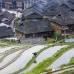 Jiaju_Village__The_Miao_Gem_Nestled_in_Guizhou_s_Rice_Terraces